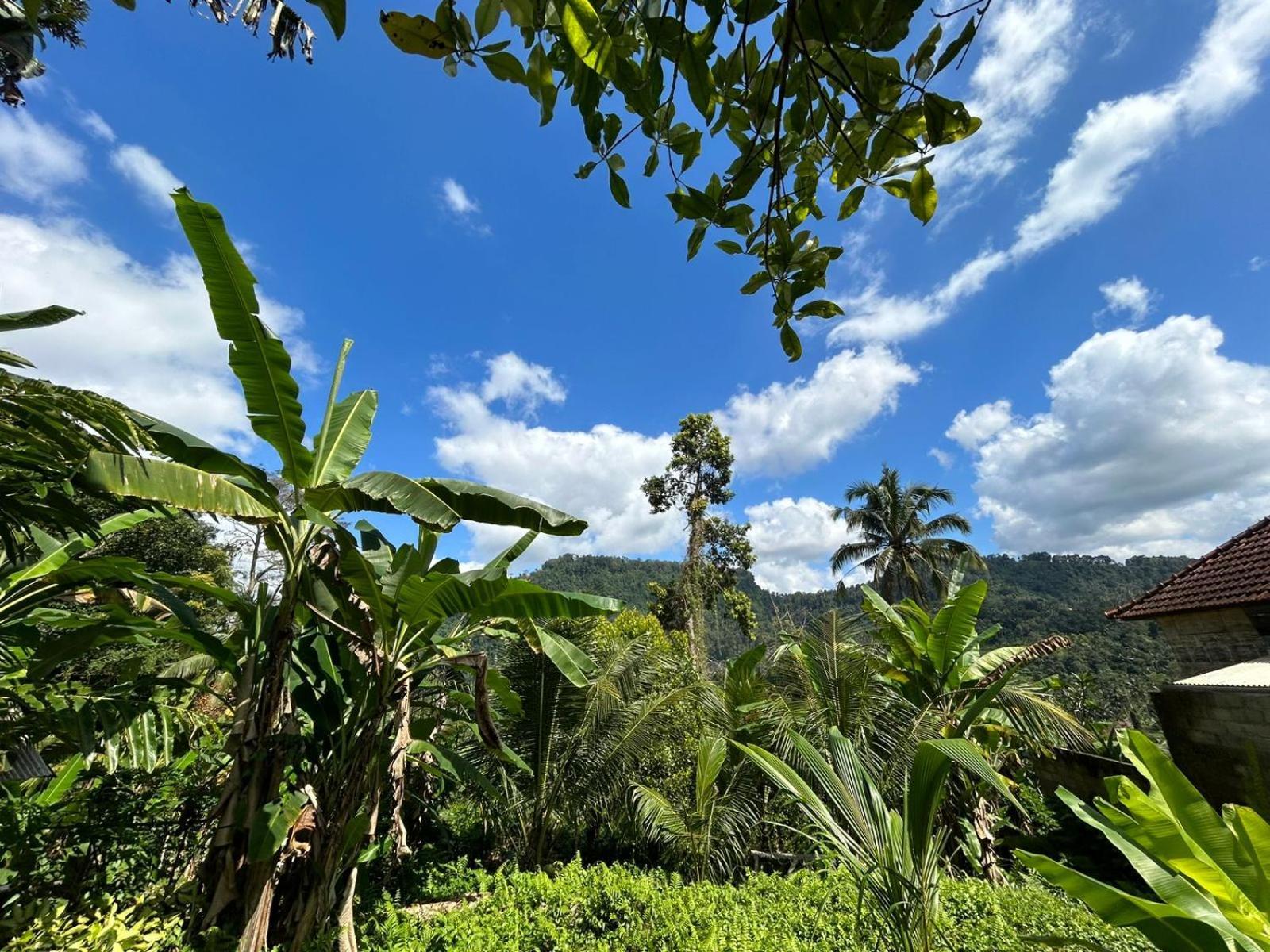 Buntera Homestay Sidemen Sidemen  Exteriér fotografie