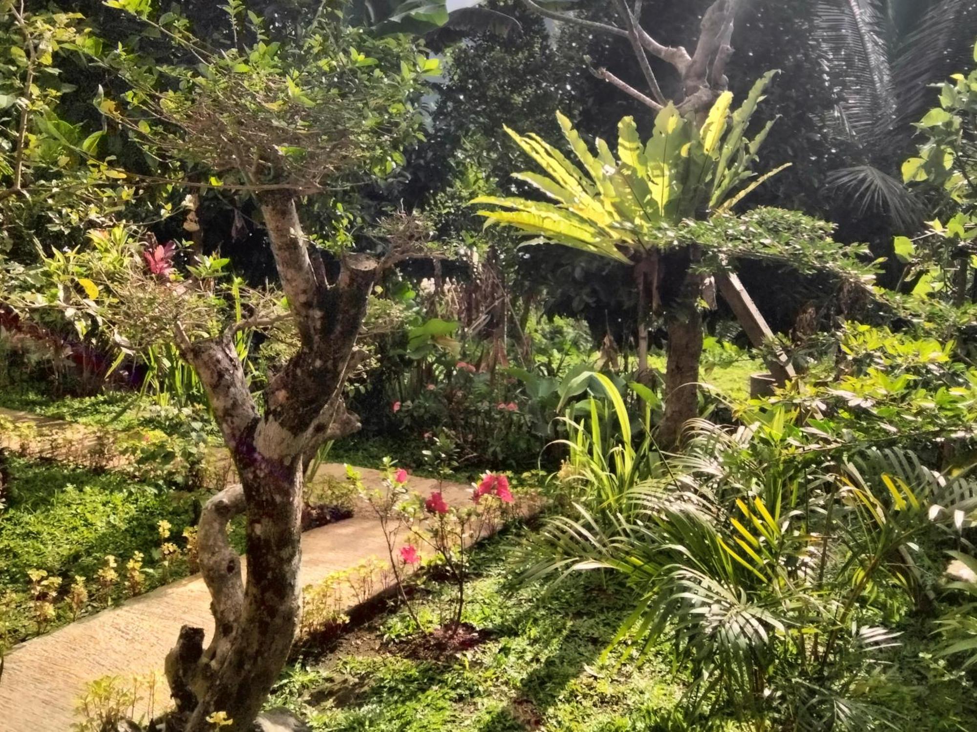 Buntera Homestay Sidemen Sidemen  Exteriér fotografie