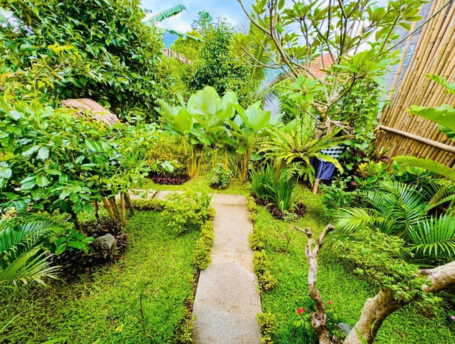Buntera Homestay Sidemen Sidemen  Pokoj fotografie
